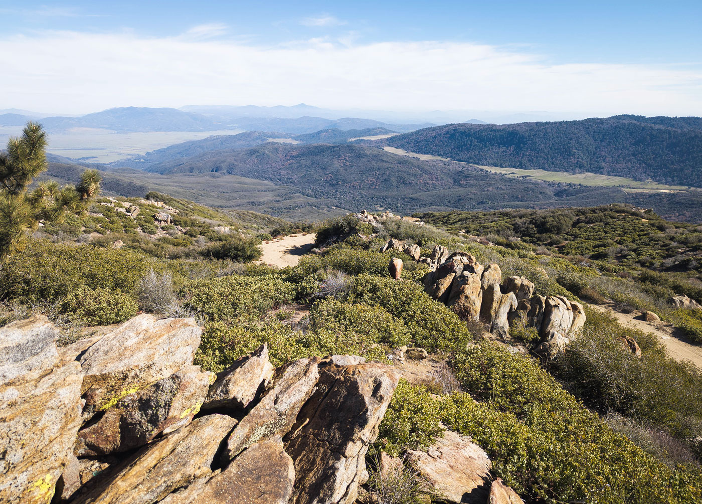 Hiking Palomar Mountain via Oak Grove Trail in Cleveland National