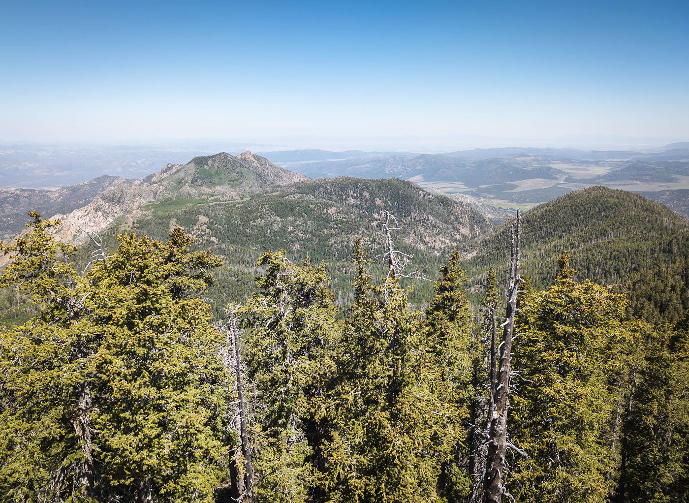 Burger Peak and Signal Peak via Forsyth Trail in Dixie National Forest, UT